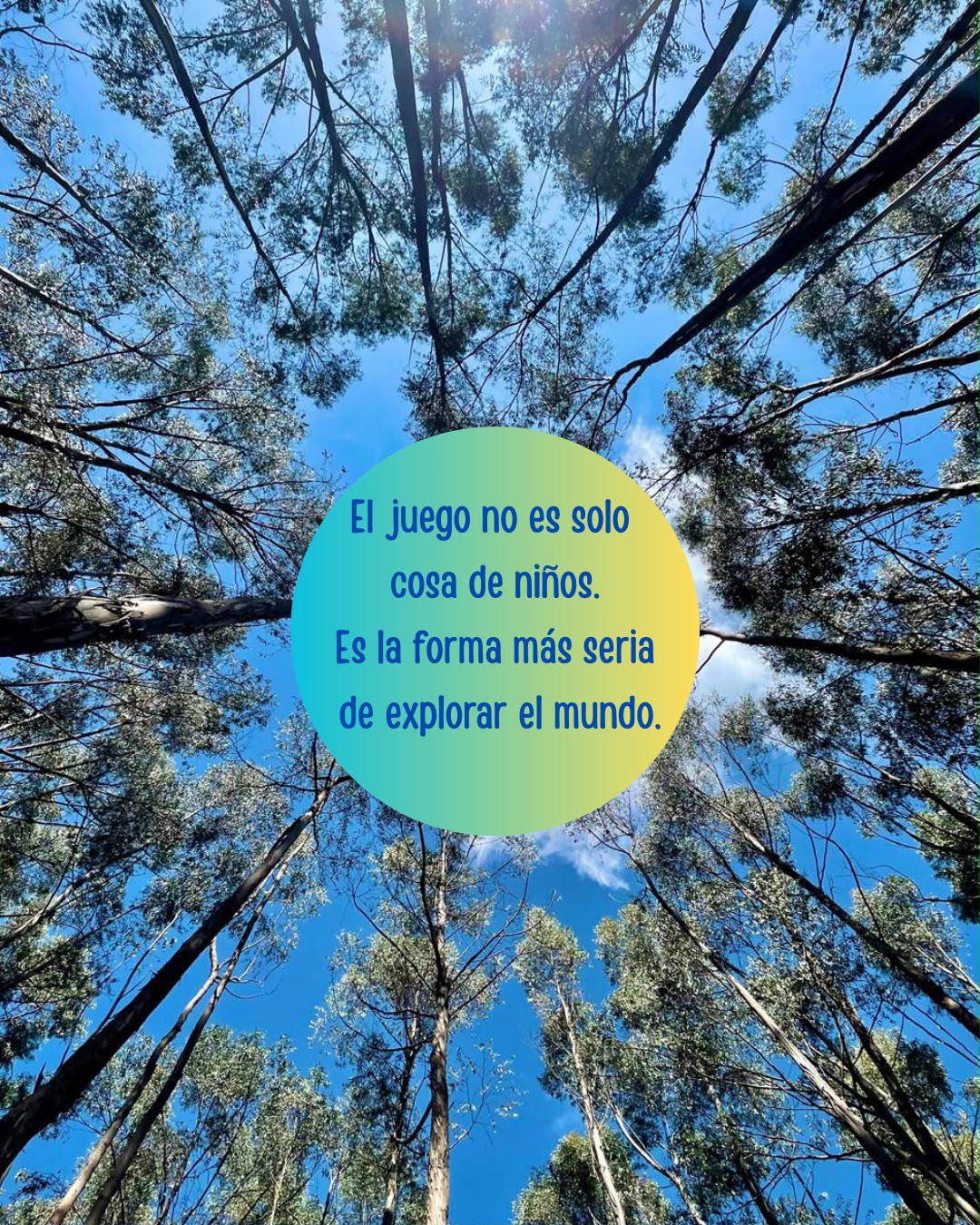Frase: el juego no es solo cosa de niños, es la forma más seria de explorar el mundo